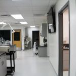 Walnut Street Animal Hospital