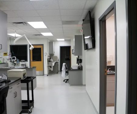 Walnut Street Animal Hospital