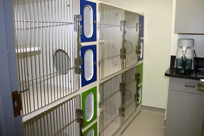 Walnut Street Animal Hospital Picture 6