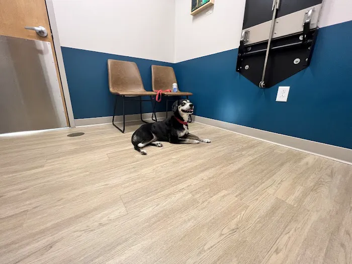 Truss Vet - Veterinary Urgent Care Picture 3