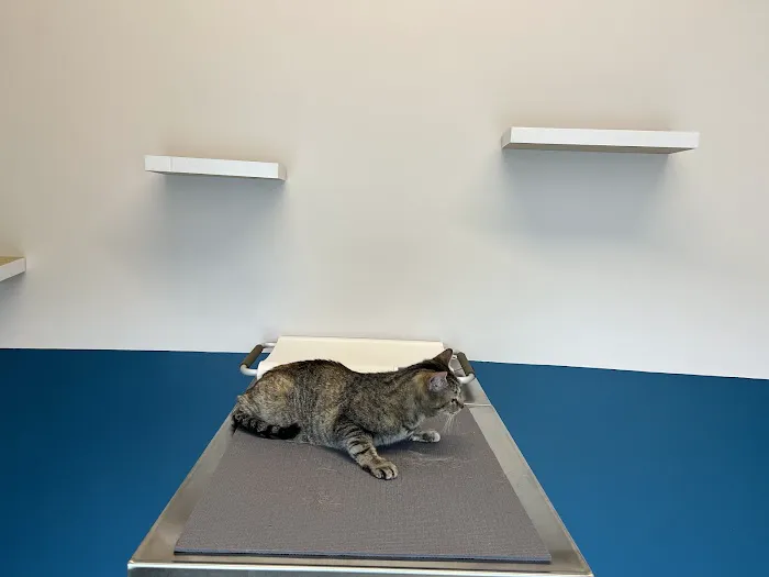 Truss Vet - Veterinary Urgent Care Picture 9