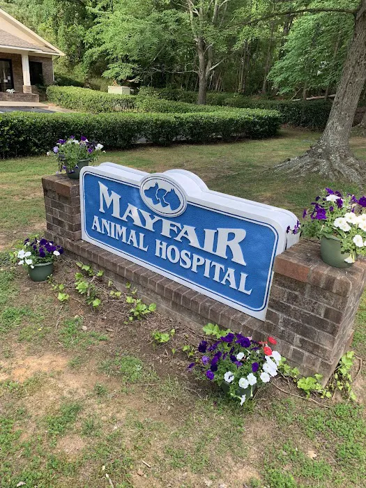 Mayfair Animal Hospital Picture 2