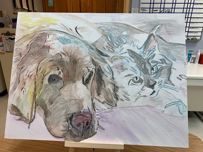 Mayfair Animal Hospital Picture 7