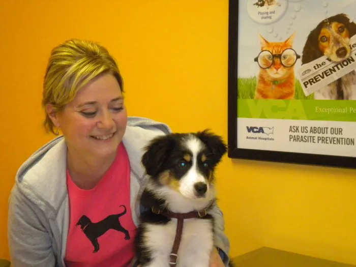 VCA Cornerstone Animal Hospital Picture 4
