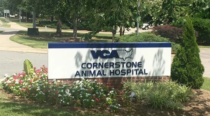 VCA Cornerstone Animal Hospital Picture 7