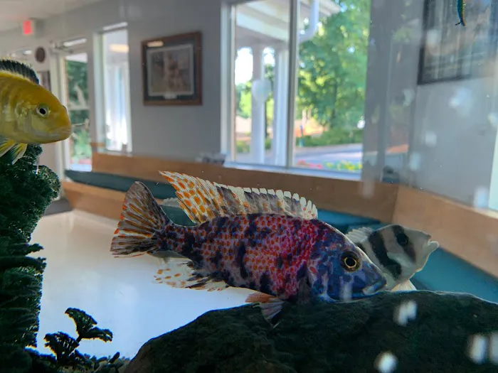 Chatham Animal Hospital Picture 1