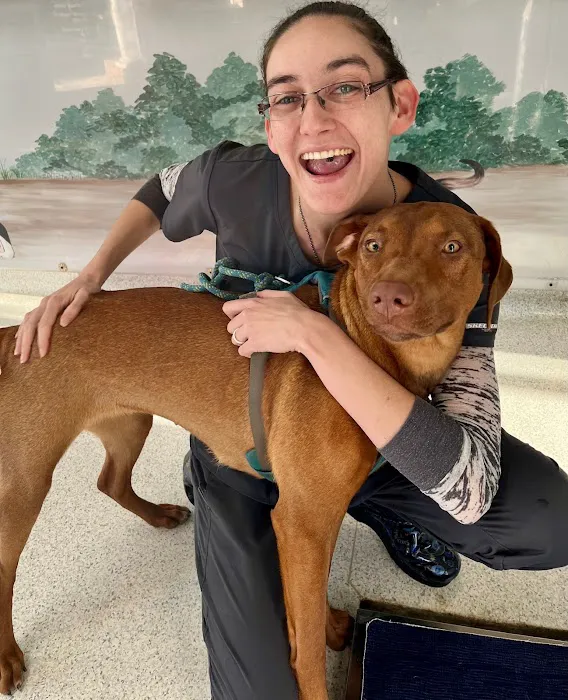 Chatham Animal Hospital Picture 6