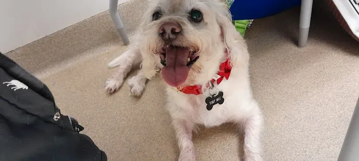 Kildaire Animal Medical Center Picture 3