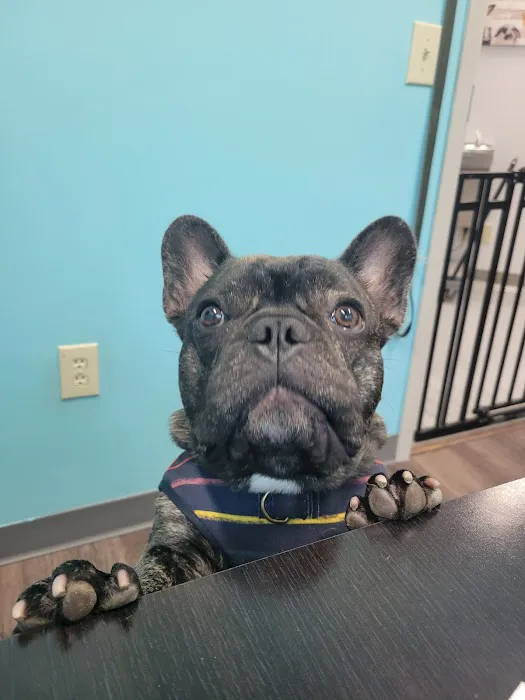 VCA Parkway Animal Hospital Picture 3