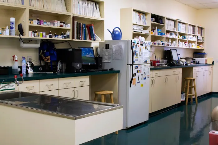 Animal Hospital of Peak Plaza Picture 10