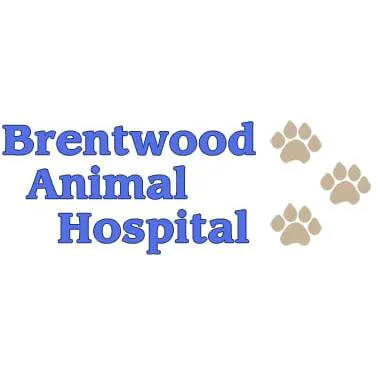 Brentwood Animal Hospital Picture 2