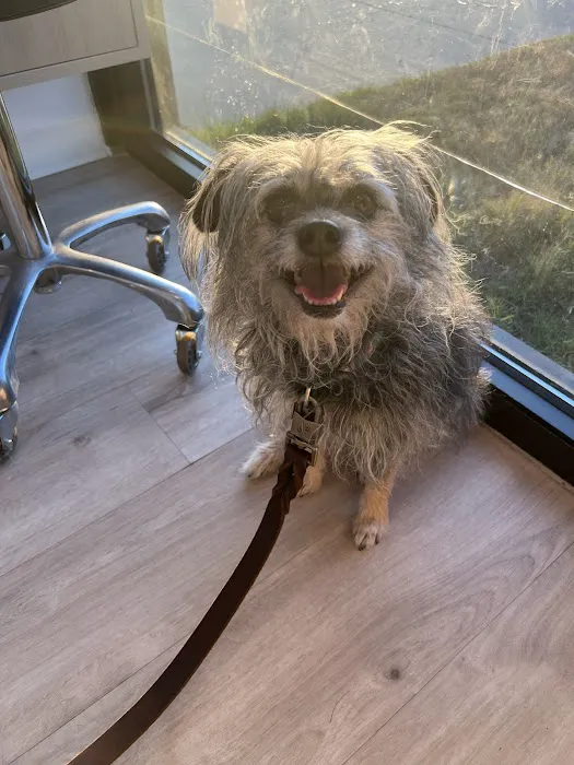 Petfolk Veterinary & Urgent Care - North Hills Picture 3