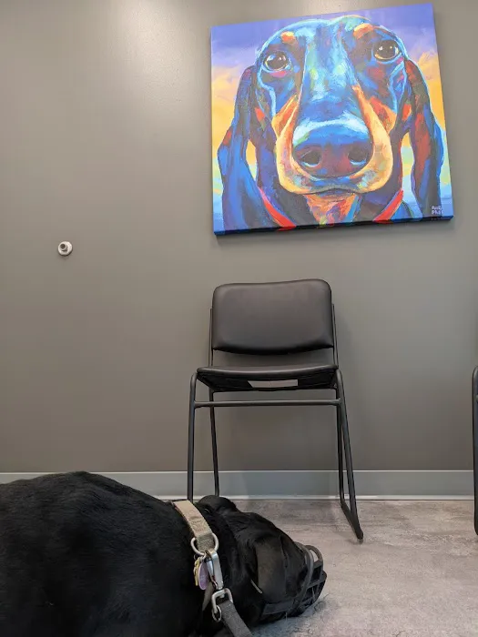 Kindred Heart Animal Hospital Picture 3