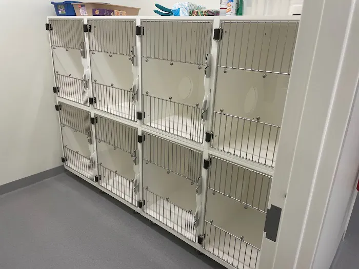 Kindred Heart Animal Hospital Picture 7