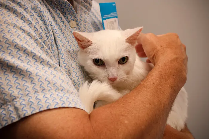 Kindred Heart Animal Hospital Picture 2