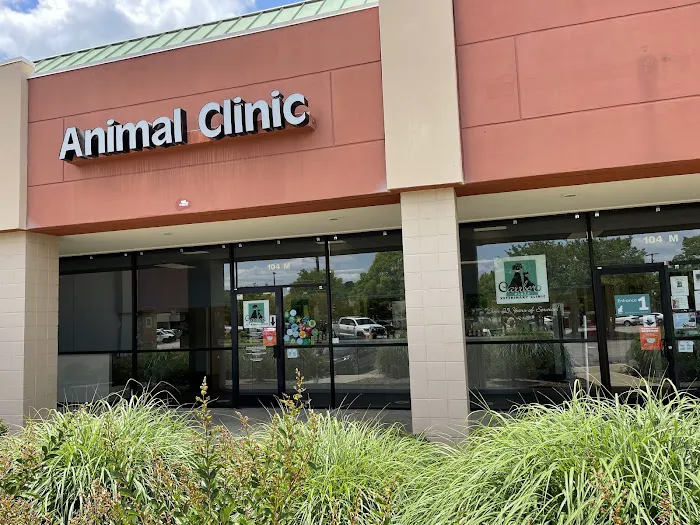 Carrboro Plaza Veterinary Clinic Picture 9