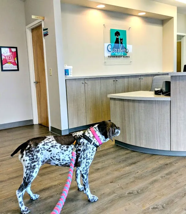 Carrboro Plaza Veterinary Clinic Picture 4