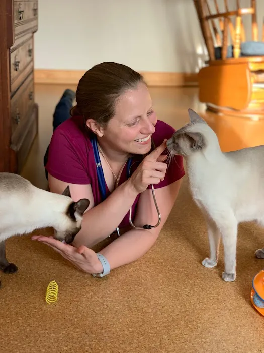 Heal House Call Veterinarian Picture 4
