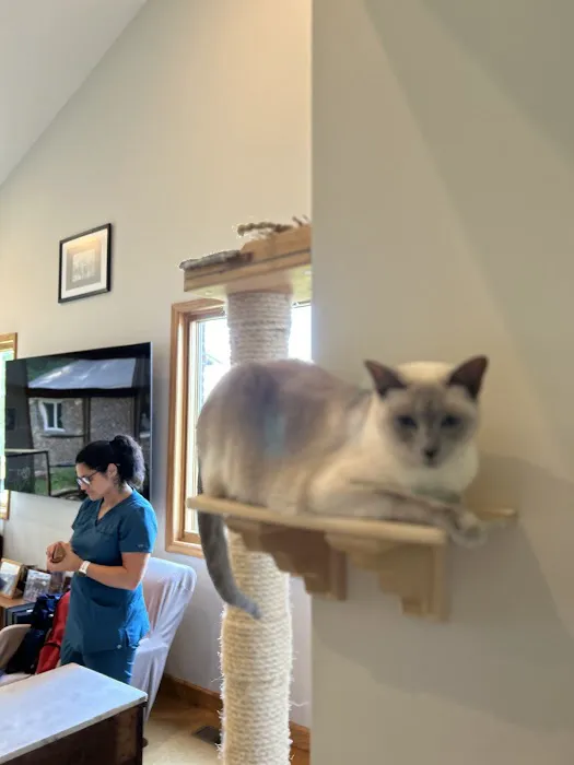 Heal House Call Veterinarian Picture 7