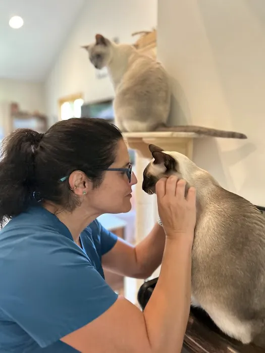 Heal House Call Veterinarian Picture 3