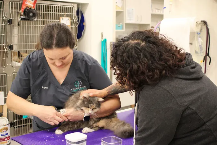 Kindred Heart Animal Hospital at Governors Village Picture 6
