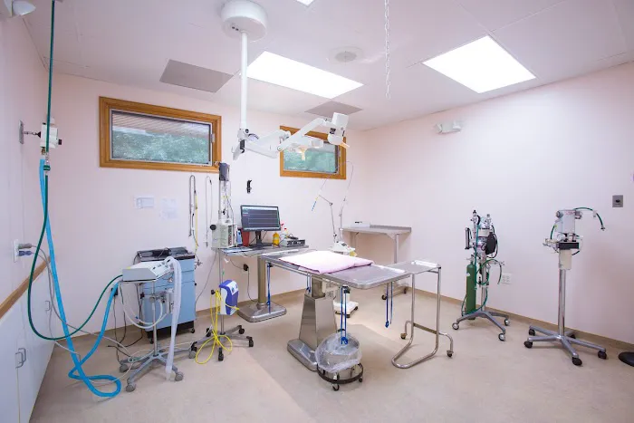 Breton Veterinary Hospital Picture 5