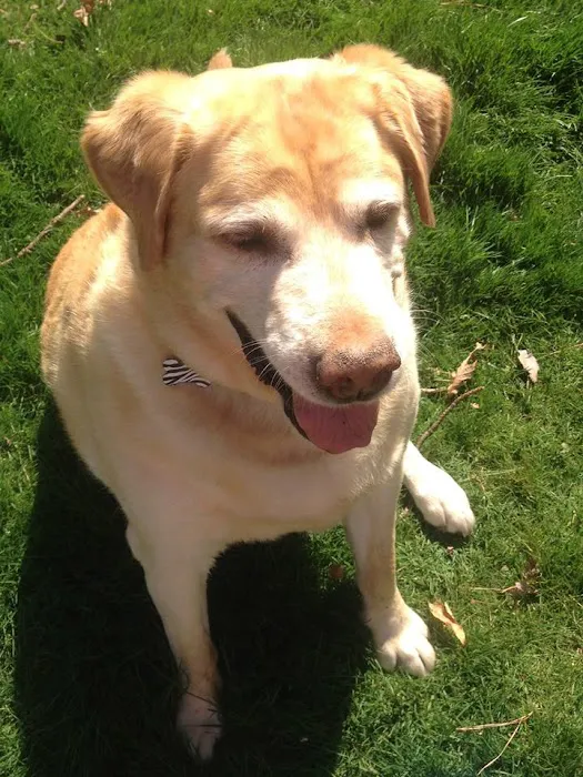 Goochland Animal Clinic Picture 1