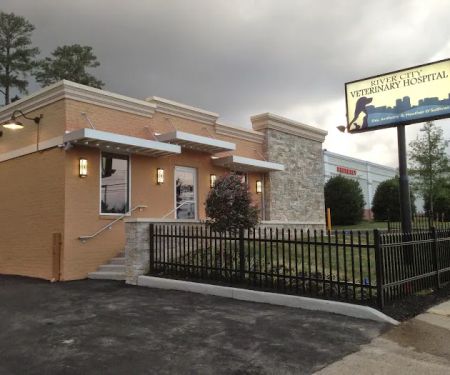 River City Veterinary Hospital