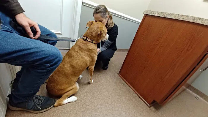 River City Veterinary Hospital Picture 2