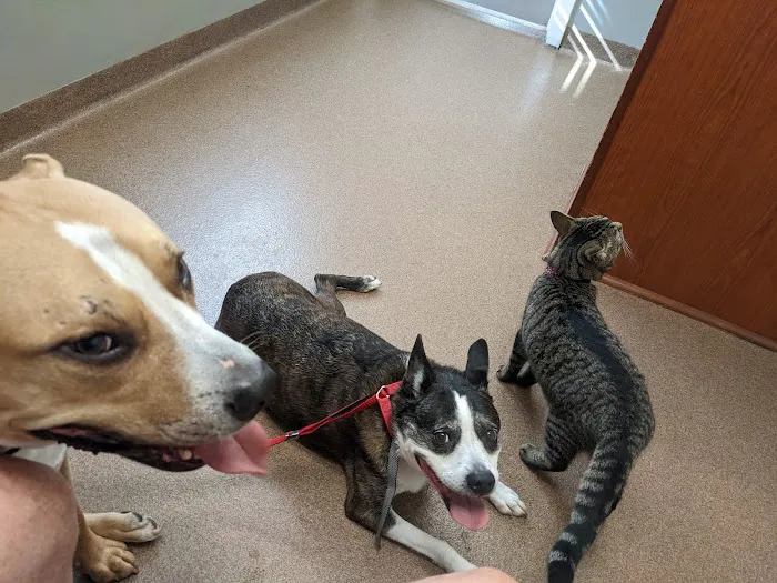 River City Veterinary Hospital Picture 9