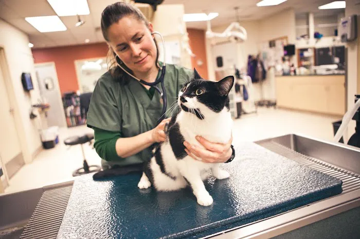 BluePearl Pet Hospital Picture 2