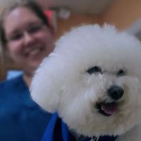 Betty Baugh's Animal Clinic ico