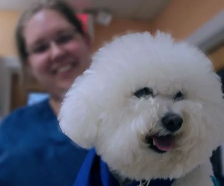 Betty Baugh's Animal Clinic
