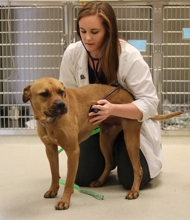 Betty Baugh's Animal Clinic Picture 9