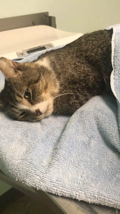 Susan M. Markel Veterinary Hospital at the Richmond SPCA Picture 7