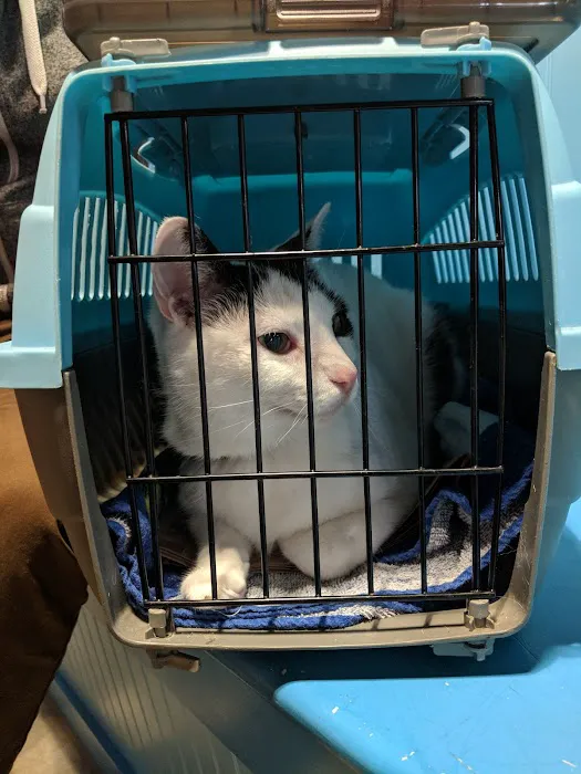 Susan M. Markel Veterinary Hospital at the Richmond SPCA Picture 5