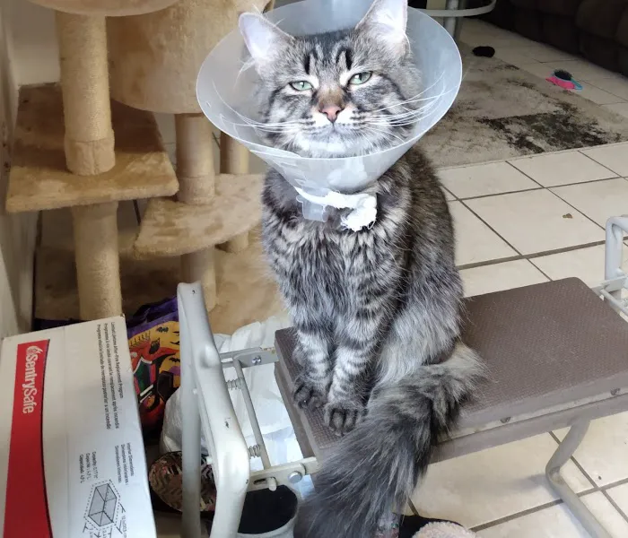 Susan M. Markel Veterinary Hospital at the Richmond SPCA Picture 4