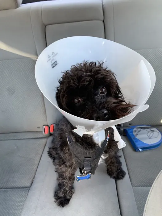Susan M. Markel Veterinary Hospital at the Richmond SPCA Picture 6