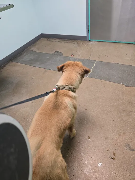 Susan M. Markel Veterinary Hospital at the Richmond SPCA Picture 2
