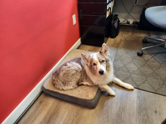 Scott's Addition Animal Hospital Picture 5