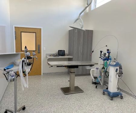 Scott's Addition Animal Hospital