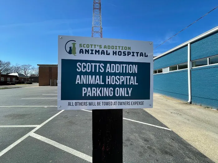 Scott's Addition Animal Hospital Picture 9