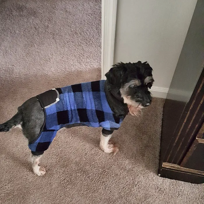 Tuckahoe Veterinary Hospital Picture 10