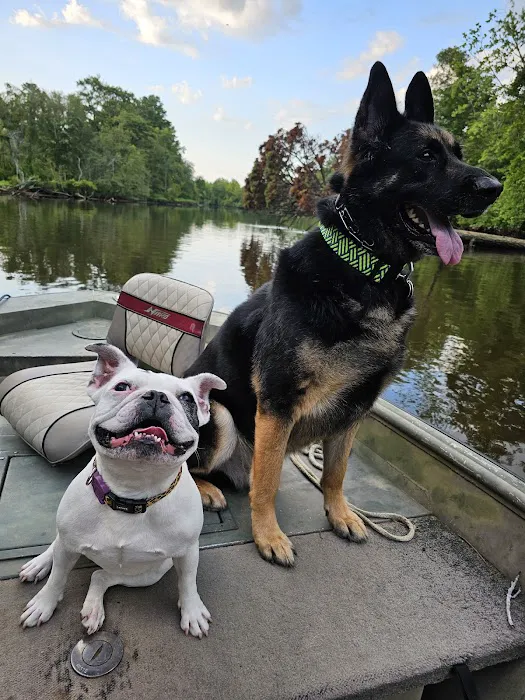 Riverbound Veterinary Clinic Picture 10