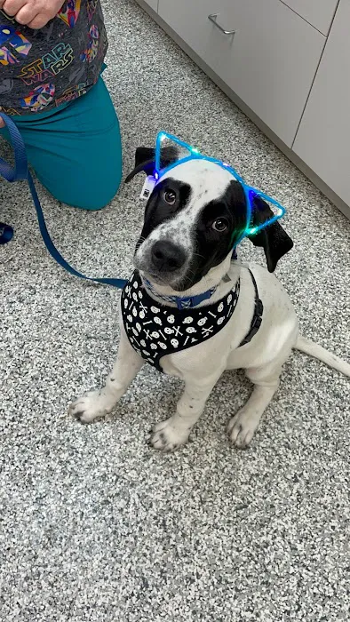 Farmers Veterinary Hospital Picture 9