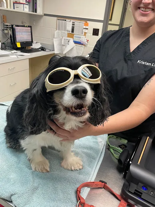 Farmers Veterinary Hospital Picture 7