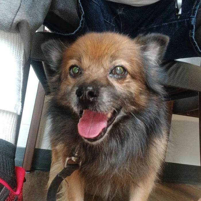 Fairfield Veterinary Hospital Picture 7