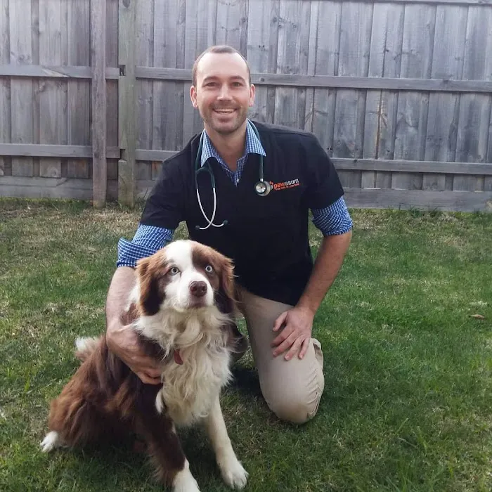 Dr Kathys Mobile Pet Care Picture 8