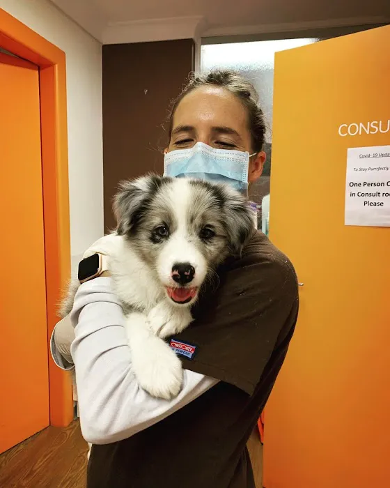 Dr Kathys Mobile Pet Care Picture 5