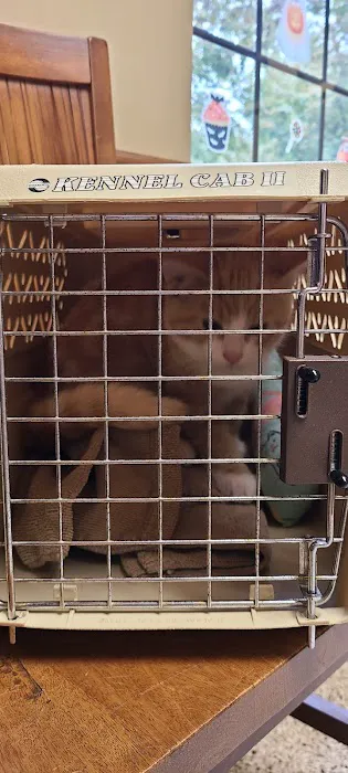 Animal Health Center of North Olmsted Picture 6